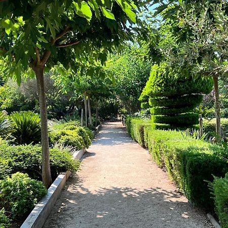 Chateau De La Clapiere Hyeres Ngoại thất bức ảnh