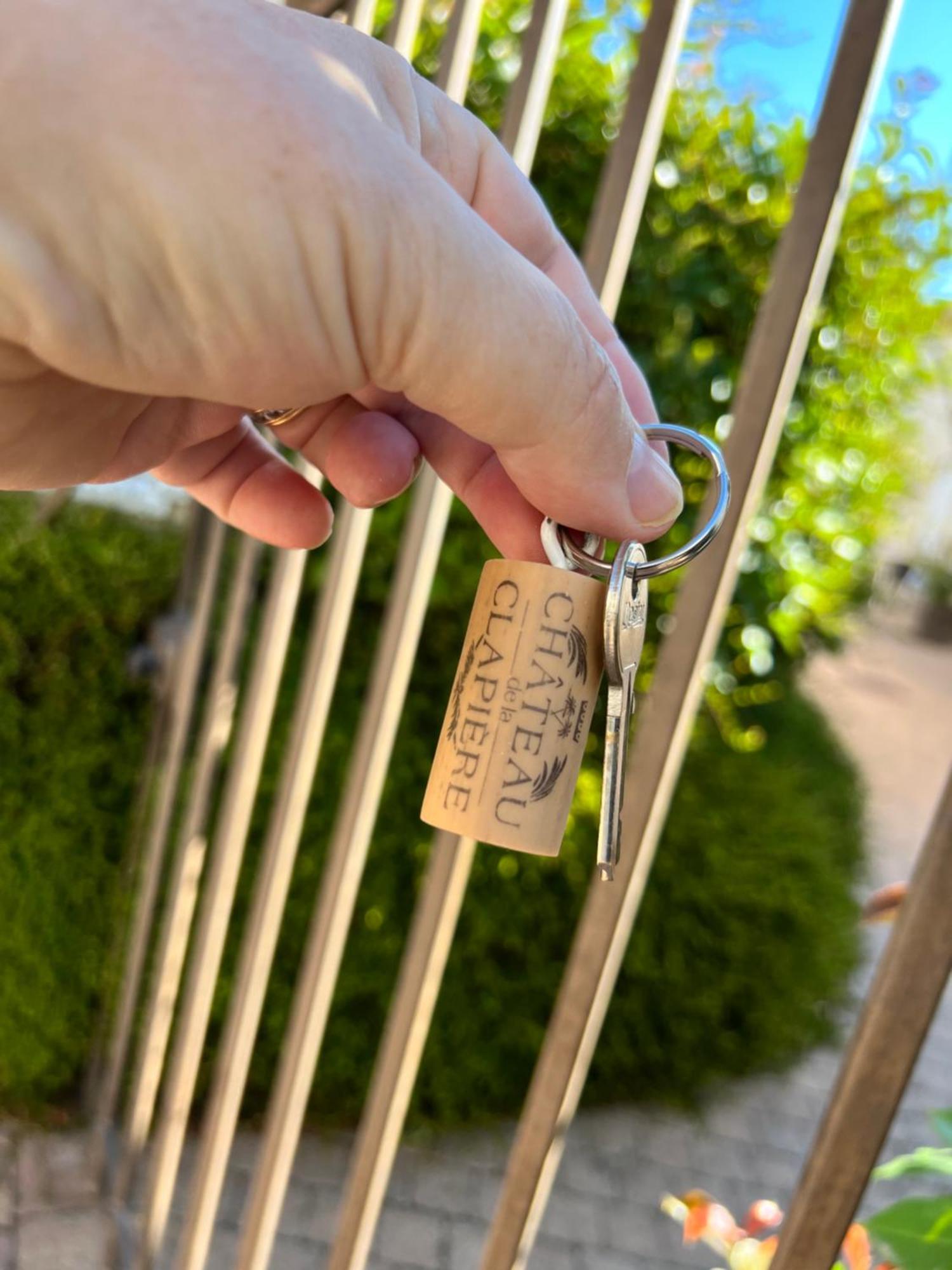 Chateau De La Clapiere Hyeres Ngoại thất bức ảnh
