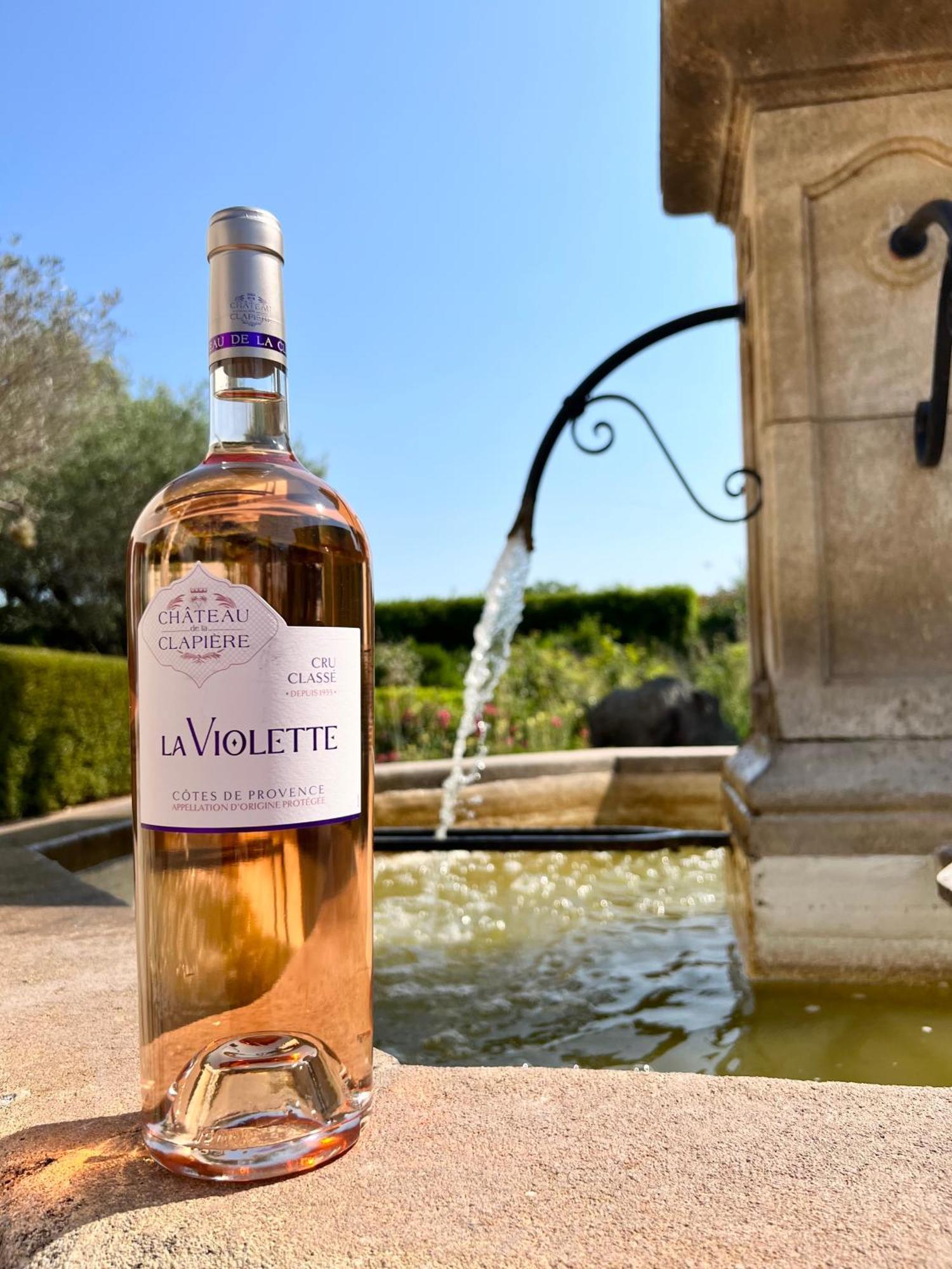 Chateau De La Clapiere Hyeres Ngoại thất bức ảnh