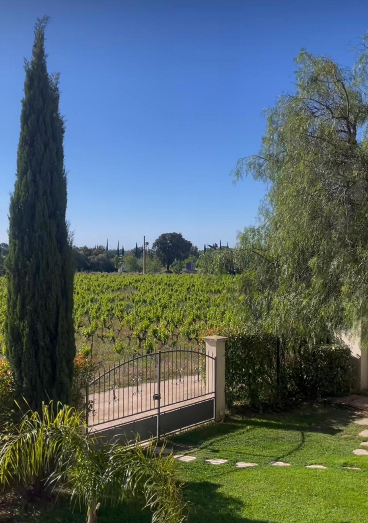 Chateau De La Clapiere Hyeres Ngoại thất bức ảnh