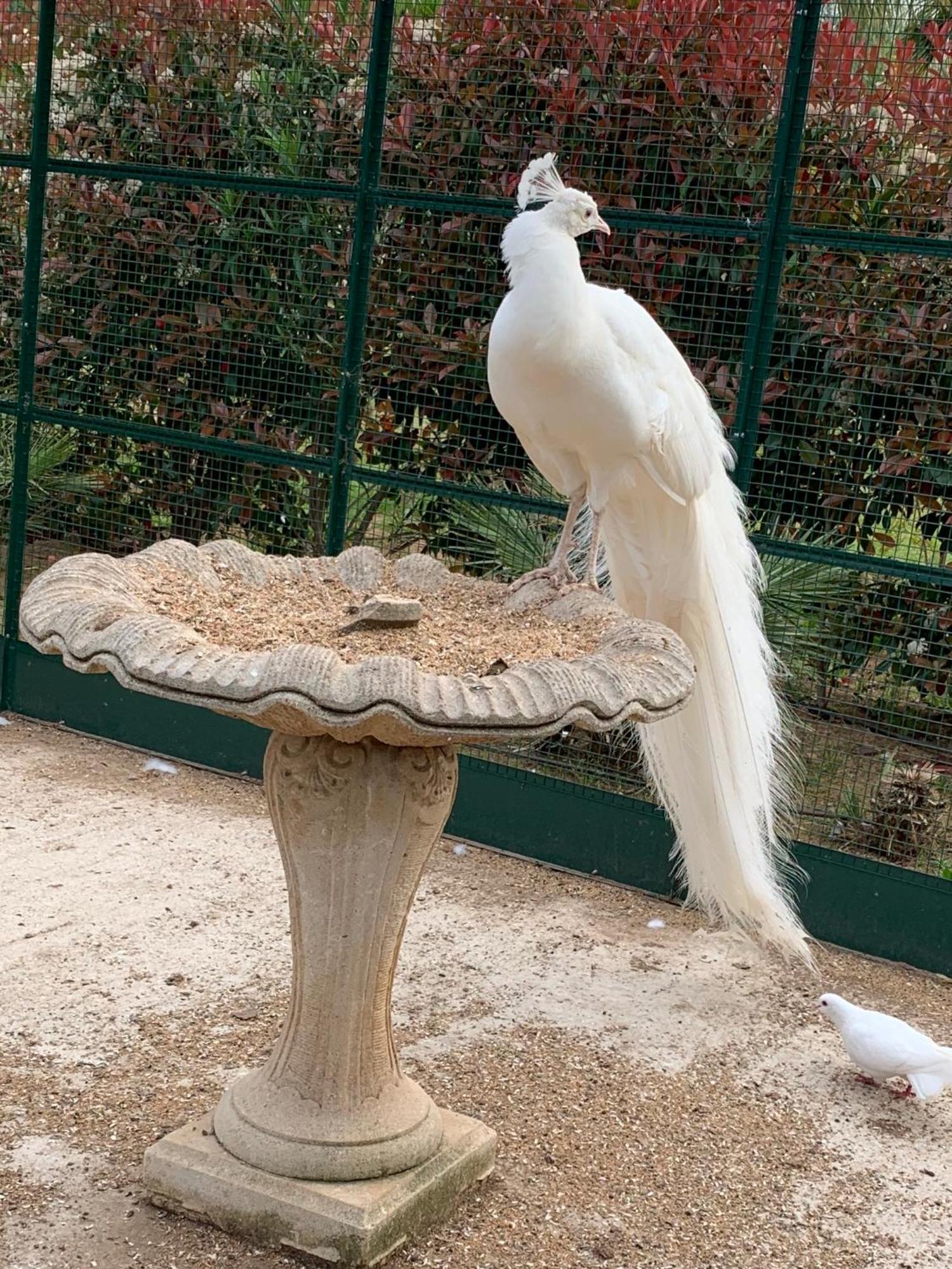 Chateau De La Clapiere Hyeres Ngoại thất bức ảnh