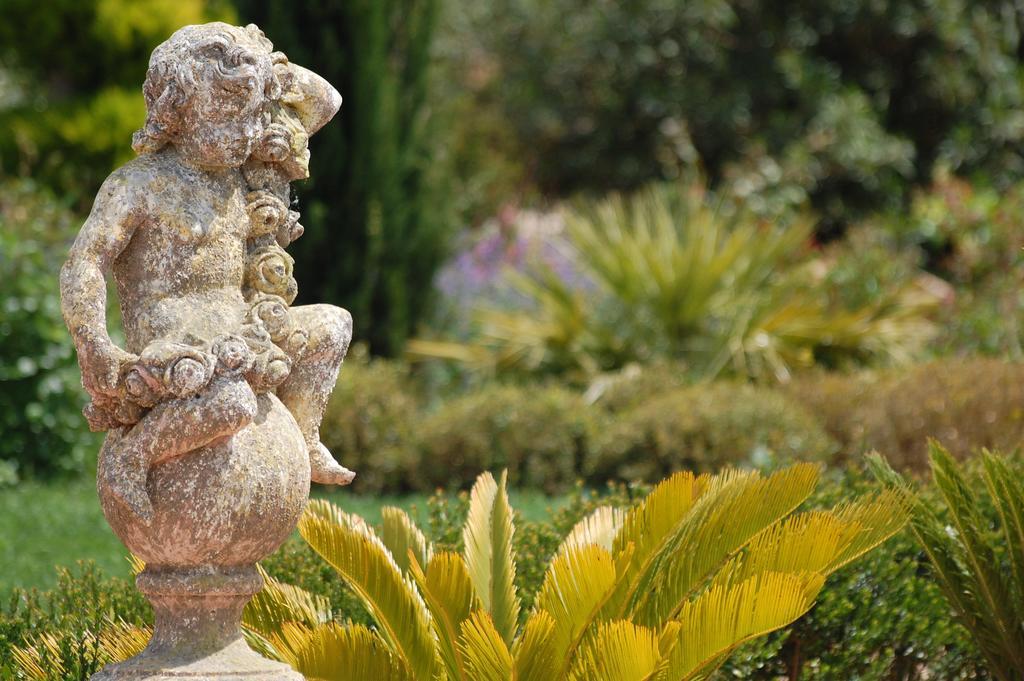 Chateau De La Clapiere Hyeres Phòng bức ảnh