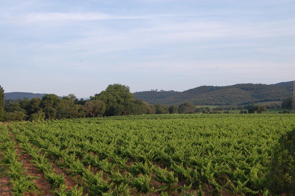 Chateau De La Clapiere Hyeres Ngoại thất bức ảnh